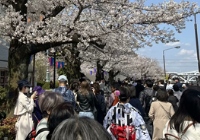 日本北海道大学相当于国内什么大学？