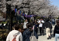 日本青山学院大学世界排名多少？