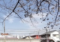 日本申请读博途径介绍