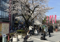 日本留学一年的费用大概是多少？