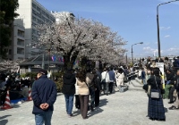 日本留学申请条件详解