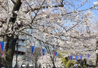 日本留学读研流程是什么？