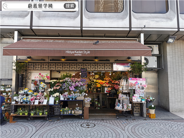 日本读博士需要几年？学制多久